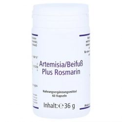 Артемизинин 150 мг капс. 60шт в Севастополе и области фото